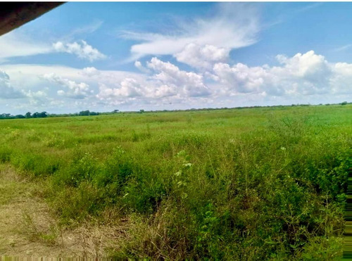 Inmobiliaria Mundo Inn Vende En Cojedes, Hermosa Finca Productiva