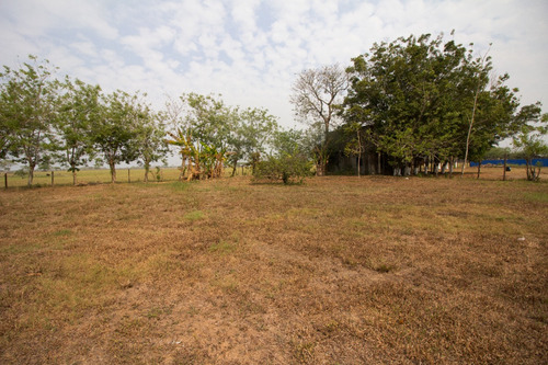 Empacadora-bodega En Venta En Chontalpa, Huimanguillo, Tabasco