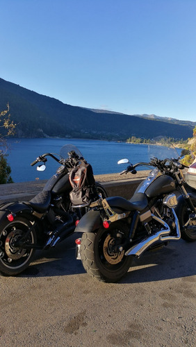 Imagen 4 de 5 de Harley Davidson
