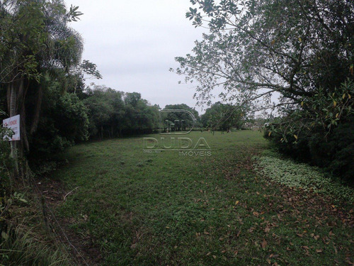 Imagem 4 de 4 de Terreno Comercial - Santa Izabel - Ref: 28789 - V-28787