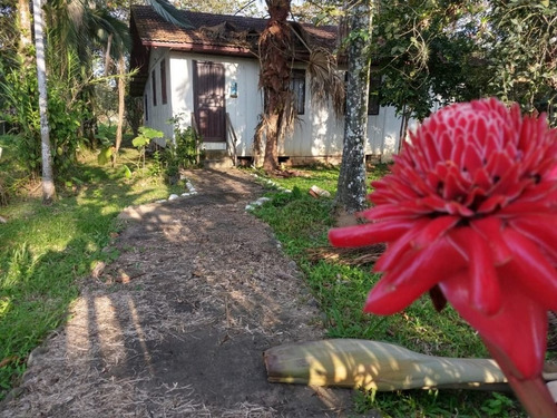 Imagem 1 de 15 de Charmosa Chácara Localizada Na Vila Das Palmeiras - Preço Imperdível - Ch0139