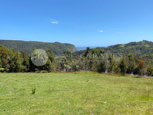 Imagen 3 de 14 de 21375 - Sitios En Estaquilla