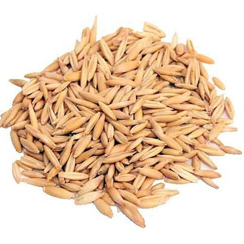Semillas Pasto Para Gatos 400gr