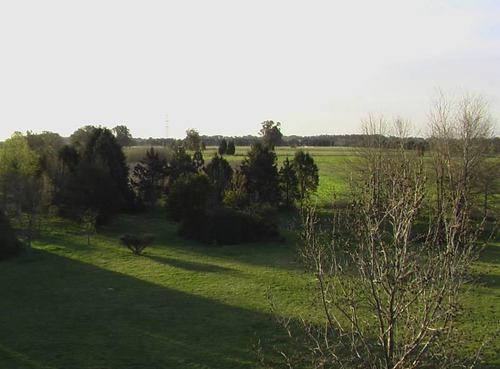Lote Zona Polo General Rodríguez 32 Hectáreas