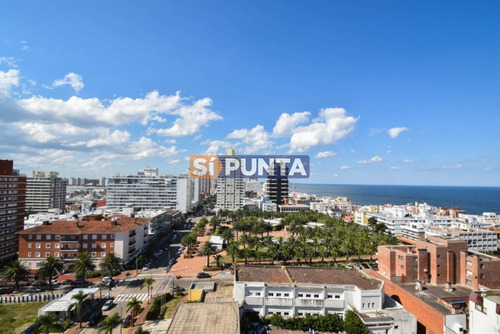 Imagen 19 de 30 de Apartamento A La Venta