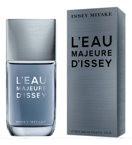 Perfume Issey Miyake 100ml Edt - mL a $4200