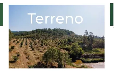Rancho en venta
