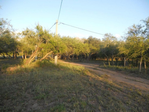 Imagen 11 de 14 de Lotes En Venta San Javier Yacanto, Traslasierra