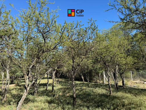 Venta De Lotes Sobre Ruta 1, Los Molles