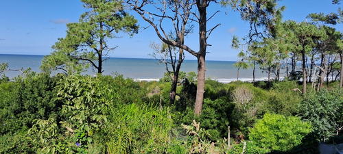 Alquilo Casa Frente Al Mar Y Bosque!!