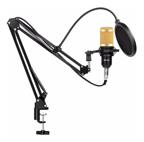 Imagen 9 de 10 de Microfono Condensador Profesional De Estudio Kit Tripode