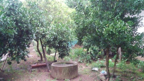 Chácara Residencial À Venda, Terra Preta, Mairiporã. - Ch0080