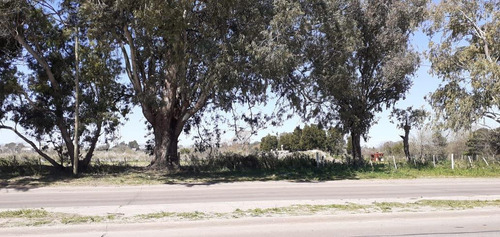 Imagen 27 de 30 de Terreno En Venta En La Plata Calle 44 Esq 177 - Dacal Bienes Raices