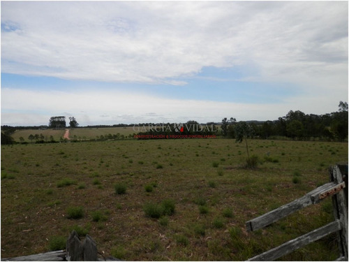 Imagen 5 de 8 de Venta De Chacra En Zona Rural De La Barra