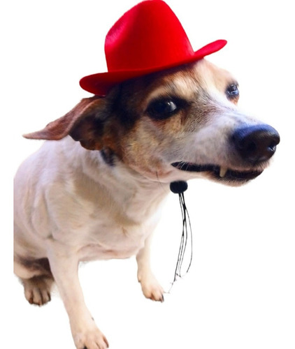 Sombrero Vaquero Rojo Para Mascotas Perros Gatos