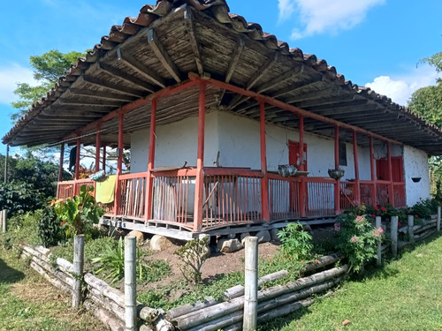 Se Vende Finca Quimbaya Quindío 