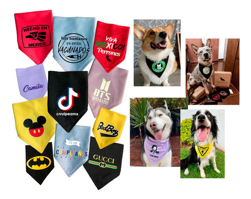 Vulpez Kit D 3 Bandanas Perro Personalizada Paliacate Collar