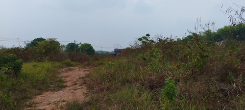 Terreno En Renta De Terreno A Pie De Carretera En Sebastopol Tuxtepec Oaxaca