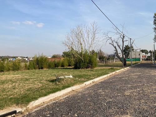 Imagen 5 de 7 de Terreno - La Plata