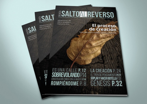 Revista #2 Salto Al Reverso (impresa)