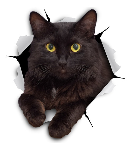 Winston Bear 3d Cat Stickers 2 Pack Cheeky Black Cat Ca...