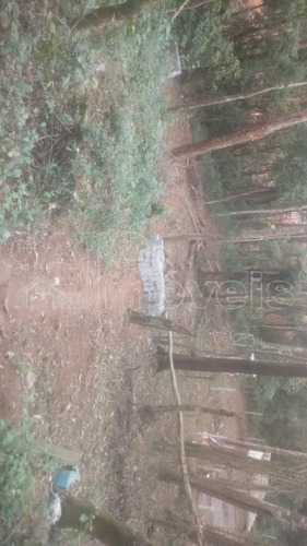 Imagem 7 de 9 de Chácara Para Venda Em Cajamar, Ponunduva - 21486_1-1925882
