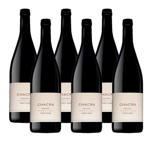 Caja X6 Chacra 55 Pinot Noir - Vino Icono Patagonia Organico