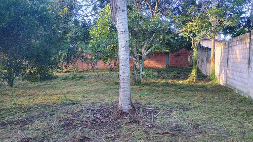 Sítio Em Aramari Próximo A Alagoinhas
