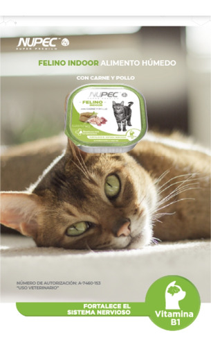 16 Latas Nupec Felino Indoor | Gatos Adultos