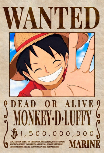 10 Posters One Piece - Wanted 33 X 48 Cm