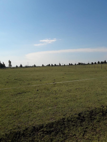Terreno En Venta - 12000mts2 - Chacras De Abbott, San Miguel Del Monte