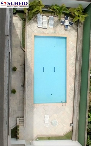 Imagem 10 de 15 de Mascote - Apartamento Para Venda - Mc6264