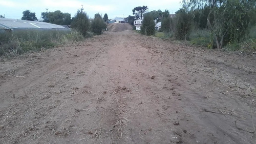 Imagen 4 de 6 de Sitio En Venta Concepción