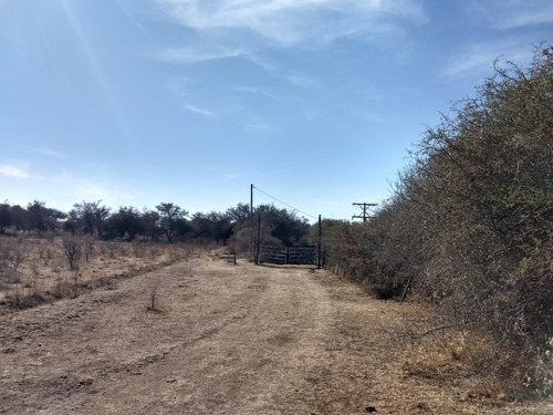 Imagen 9 de 17 de Campo De 100 Hectareas Con Casa En Tulumba, Provincia De Cordoba