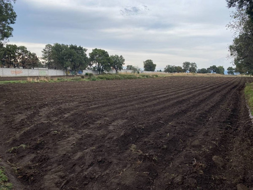 Imagen 4 de 6 de Terreno Con Potencial Comercial, Sólo Metros A La Carretera Apizaco-santa Cruz!!