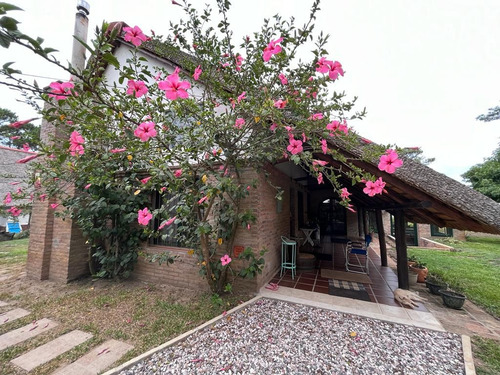Las Rosas En La Paloma