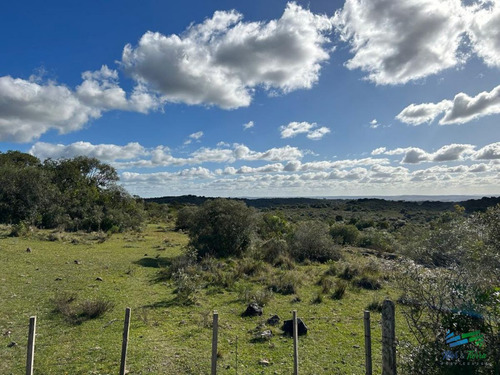 Imagen 9 de 24 de Lindo Campo Para Fraccionar, Sobre Ruta Y A Poco Mas De 1 Hora De Punta