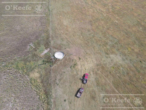 Imagen 10 de 20 de Campo De 155 Has En Venta En Benito Juarez - 100 % Agrícola