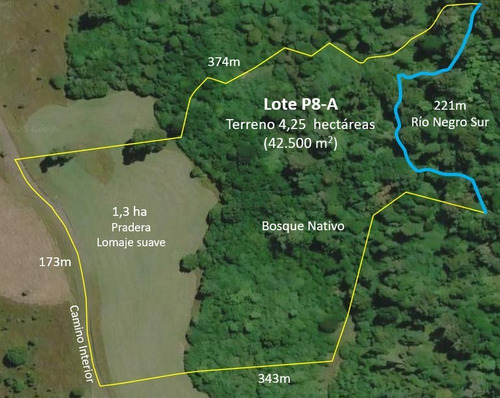 Terreno Agrícola En Venta 4,25 H En Puerto Octay