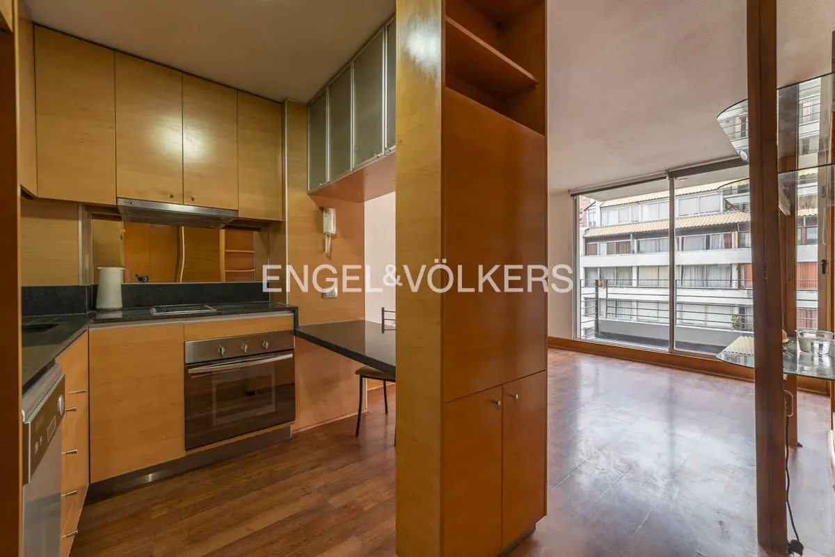 Imagen 5 de 20 de Estupendo Departamento 1d/1b En Providencia