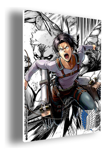 Cuadro Decorativo Levi Ataque De Titanes