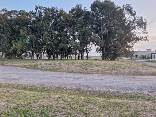 Hermoso Lote Frente A Bosque, Excelente Ubicación, Horizontes Al Sur, Canning San Vicente