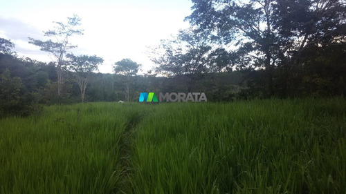 Imagem 8 de 15 de Fazenda - Zona Rural - Ref: 4269 - V-mta4269