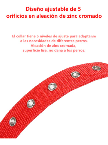 Collar Para Correas Perros Con Hebilla Metálica Ajustable M Azul
