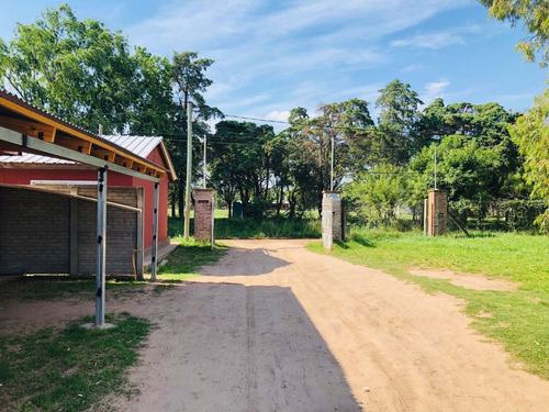 Imagen 1 de 13 de Lote/terreno En Carlos Casares - Financia 50% - Apto Credito