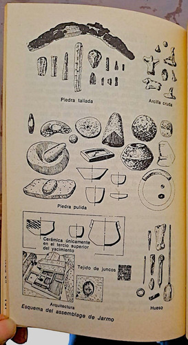 El Hombre Prehistórico (Usado)