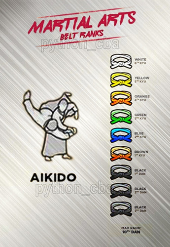 Pósters Aikido Capoeira Jiu Jitsu Judo Ju Jutsu - 42x30cm