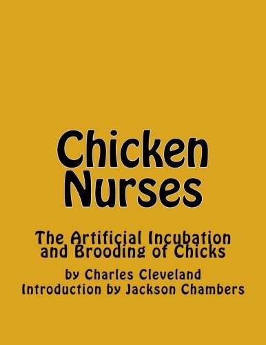 Chicken Nurses The Artificial Incubation And Brooding Of Chi