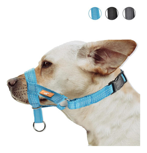 Collar De Cabeza De Perro Con Hilo De Seda, Collar De Cabeza