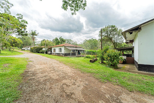 Imagem 15 de 30 de Sitio Rural - Praia Paulistanas - Reo639076